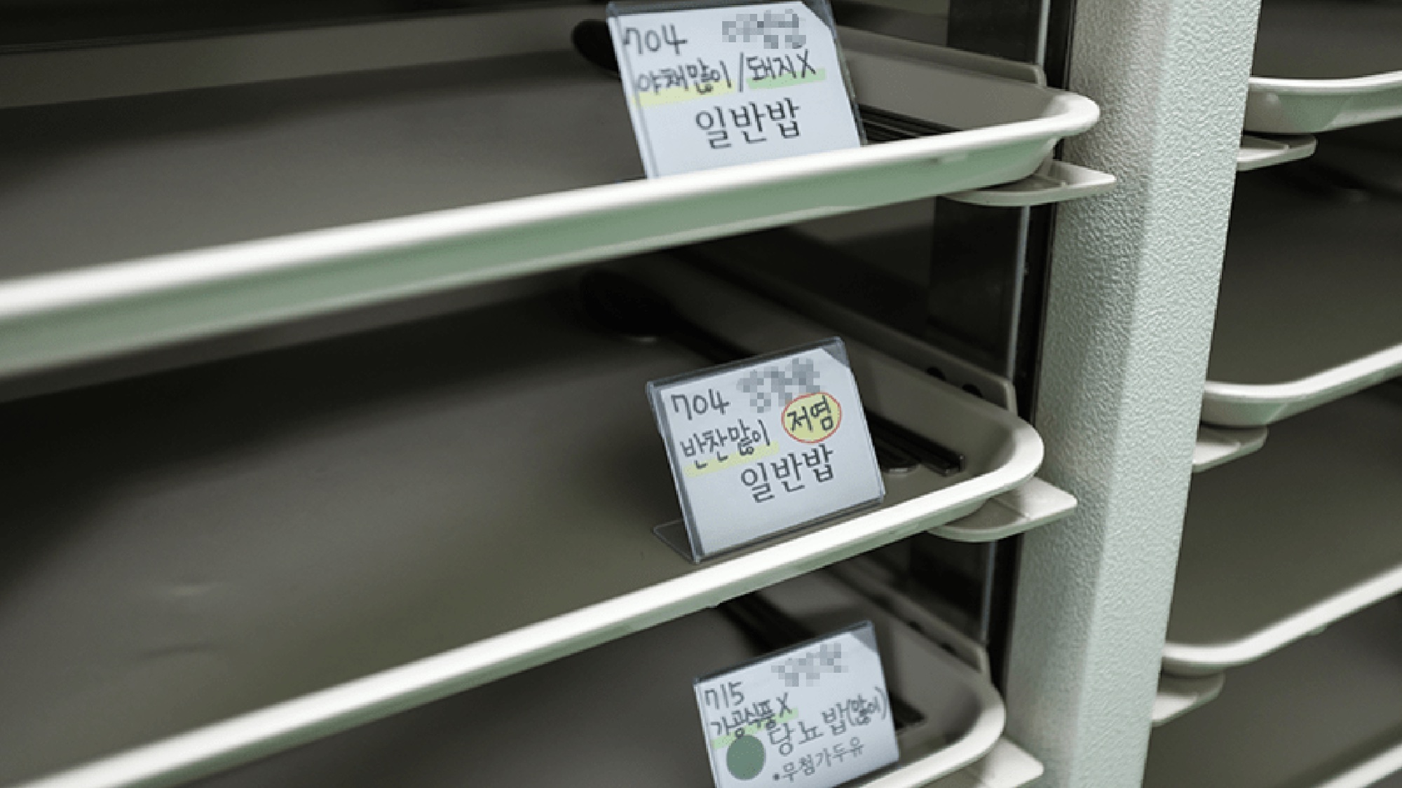 환자 맞춤식단